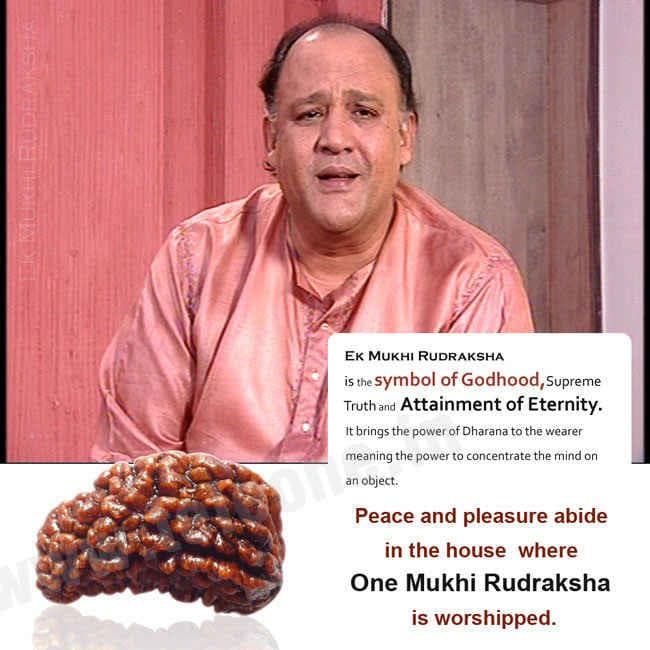 1 Mukhi Rudraksha