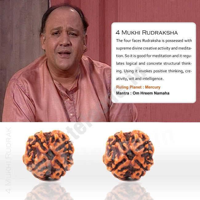 4 Mukhi Rudraksha