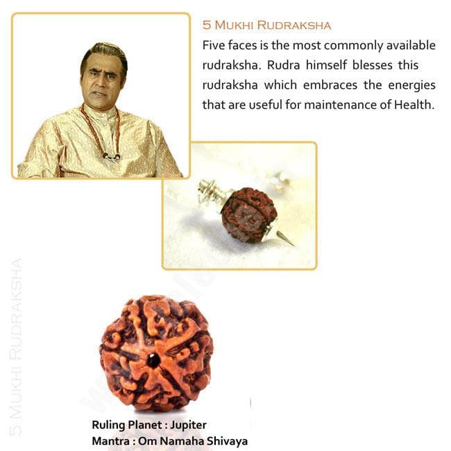 5 Mukhi Rudraksha