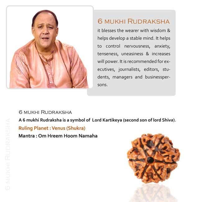 6 Mukhi Rudraksha