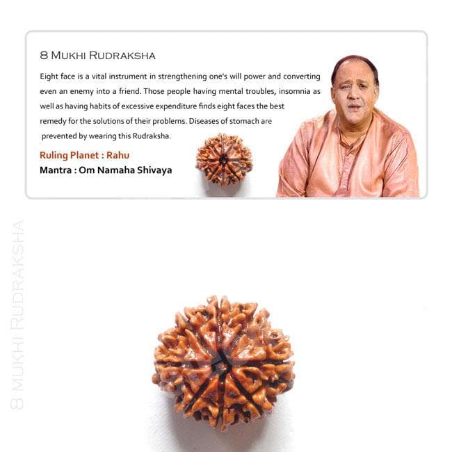 8 Mukhi Rudraksha